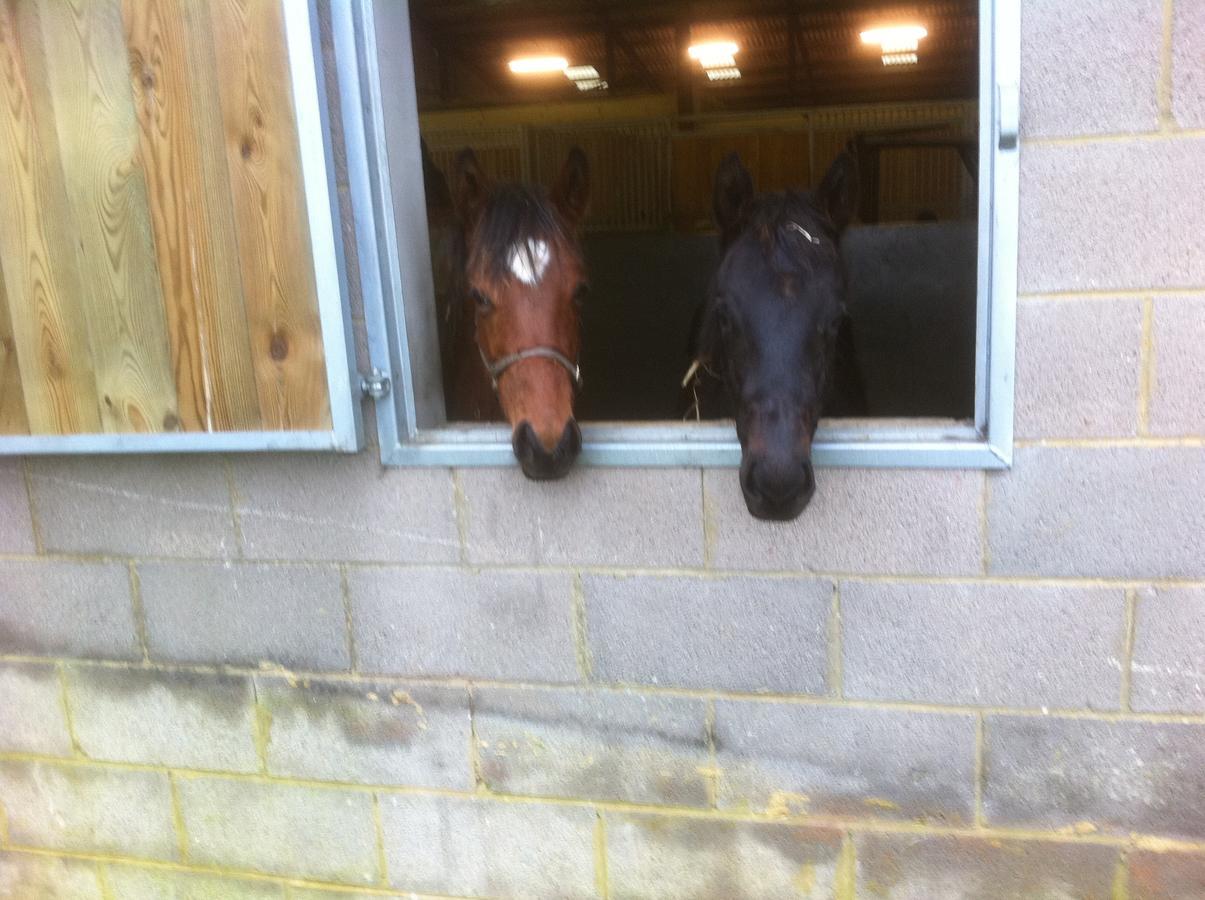 Withyslade Farm Villa Tisbury Buitenkant foto